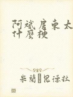 阿斌房东太太是什么梗