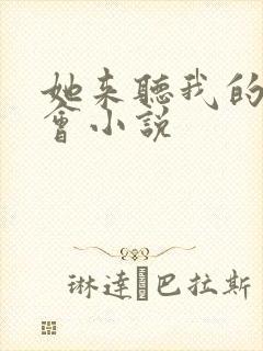 她来听我的演唱会小说