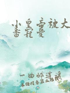 小皇帝被大臣轮番宠爱