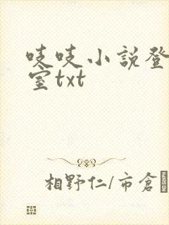 吱吱小说登堂入室txt