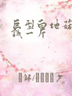 巨型白地菇多少钱一斤