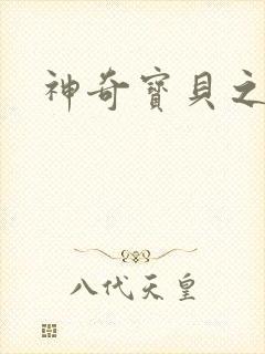 神奇宝贝之一辉