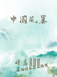中国风暴