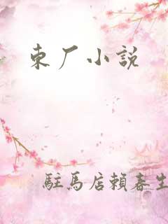 东厂小说
