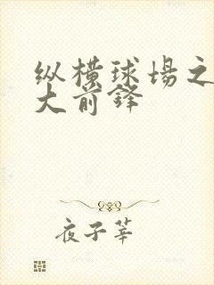 纵横球场之暴力大前锋