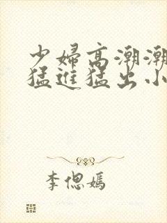 少妇高潮潮喷到猛进猛出小说