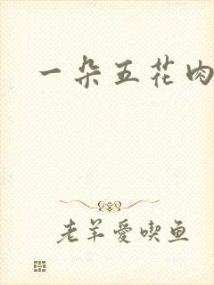 一朵五花肉