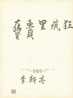 在车里疯狂挺进宝贝