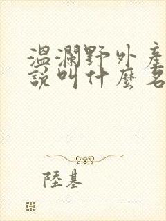 温澜野外产子小说叫什么名字