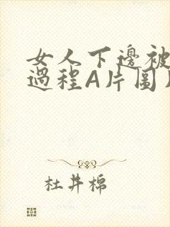 女人下边被添全过程A片图片小说