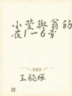 小莹与翁的销魂夜1一6章