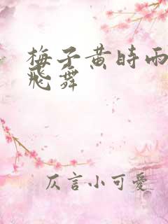 梅子黄时雨流光飞舞