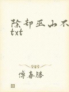 除却巫山不是云txt