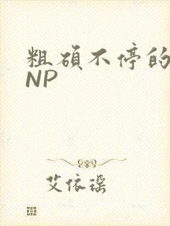 粗硕不停的进出NP