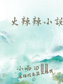 火辣辣小说全集