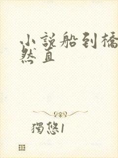 小说船到桥头自然直