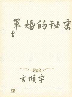 军婚的秘密txt