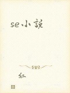 se小说