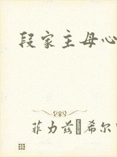 段家主母心太狠