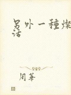 另外一种灿烂生活