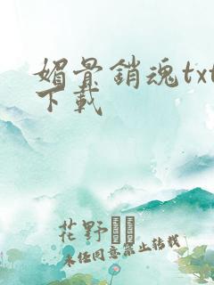 媚骨销魂txt下载