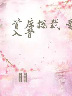 首席总裁 爱你入骨