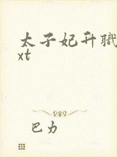 太子妃升职记txt