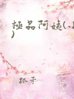极品阿姨(小说)