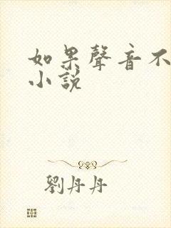 如果声音不记得小说