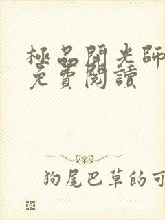 极品开光师全文免费阅读