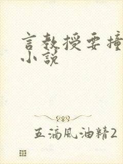 言教授要撞坏了小说