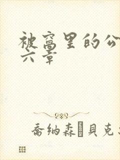 被窝里的公息十六章