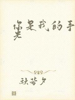 你是我的手冢国光