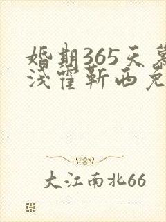 婚期365天慕浅霍靳西免费阅读