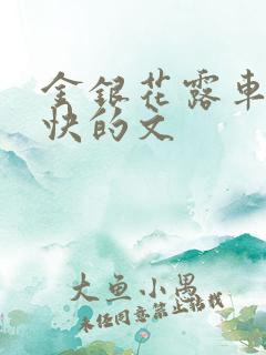 金银花露车速最快的文