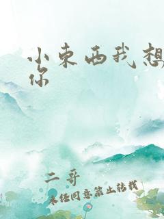 小东西我想弄坏你