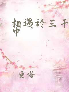 相遇于三千肉文中