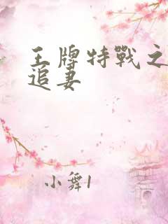王牌特战之军少追妻
