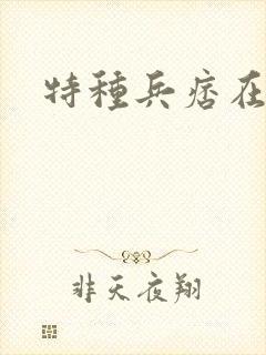 特种兵痞在都市
