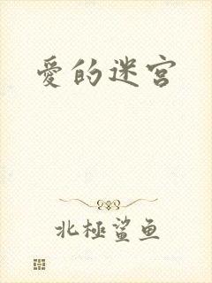 爱的迷宫