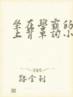 坐在学霸的棍子上背单词小说