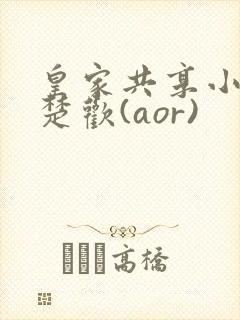 皇家共享小公主楚欢(aor)