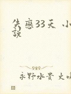 失恋33天 小说