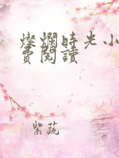 灿烂时光小说免费阅读