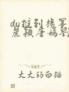 du推到杨幂赵丽颖唐嫣刘诗诗郑爽