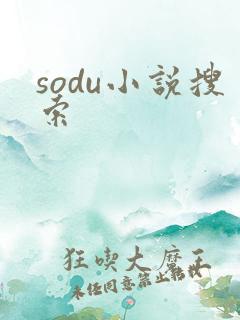 sodu小说搜索