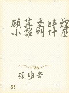 顾苒季时煜电竞小说叫什么名字