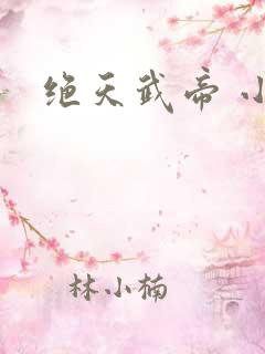绝天武帝 小说