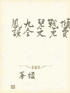 凤九儿战倾城小说全文免费阅读无弹窗