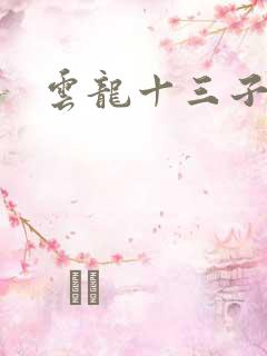 云龙十三子